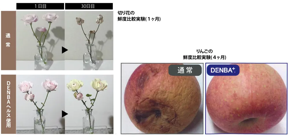 デンバ ヘルス チャージ