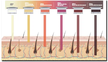 デュオフラッシュミニ-XX
