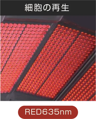 エステラックス プロ