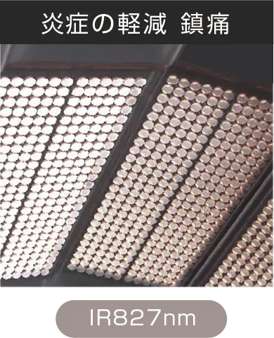 エステラックス プロ