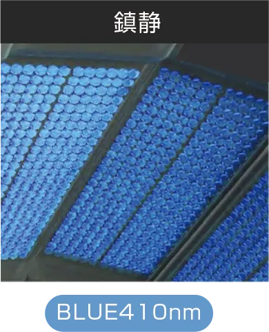 エステラックス プロ