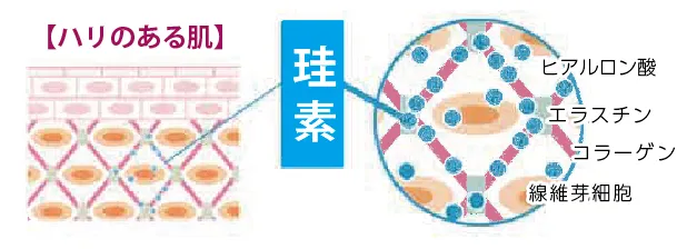 ハイパーウモディーケーナインプラス