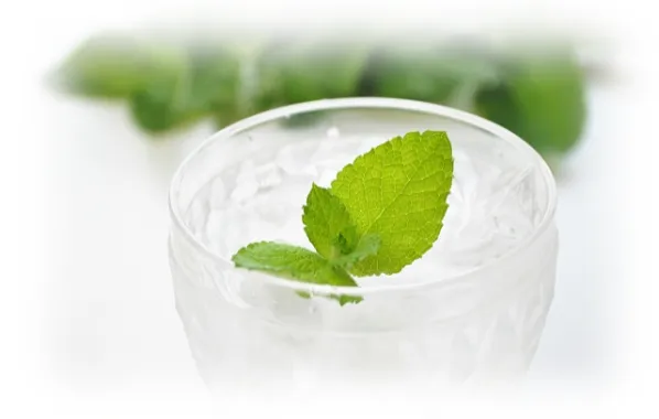 ノンFエナジークリームプレミアム