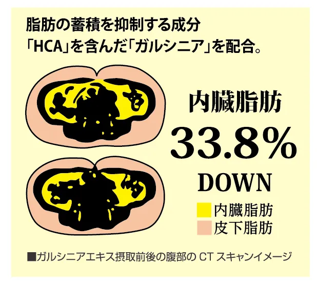ダイエットパワーシェイク