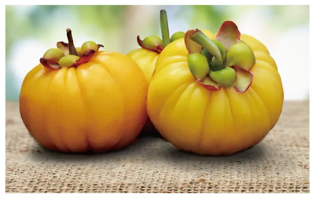 ダイエットパワーシェイク