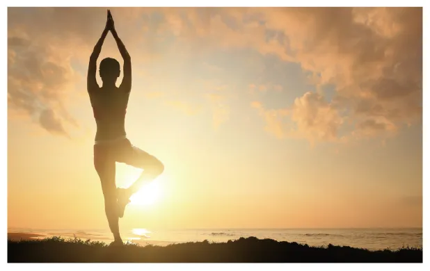 ダイエットパワーシェイク