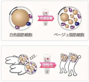 Prime S Cream プライムエスクリーム 200g プライム S クリーム 200g｜NEOBIX ONLINE SHOP